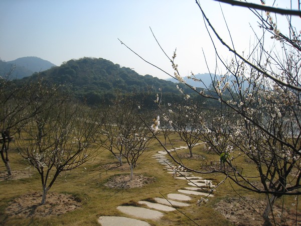 1553652132859607.jpg 图1 香雪公园(局部).jpg