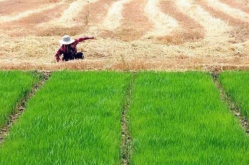 图3 长期以来，二十四节气指导着我国传统农业生产和日常生活，是传统历法体系及其相关实践活动的重要组成部分。.jpg