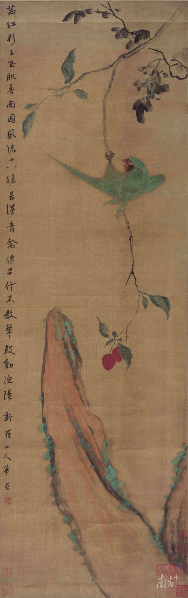 《鹦鹉荔枝图》