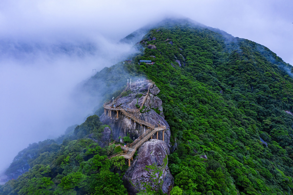 罗浮山登山栈道.jpg